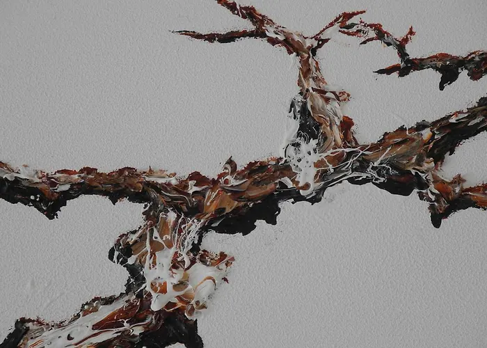 Adlerhorst Saas-Almagell